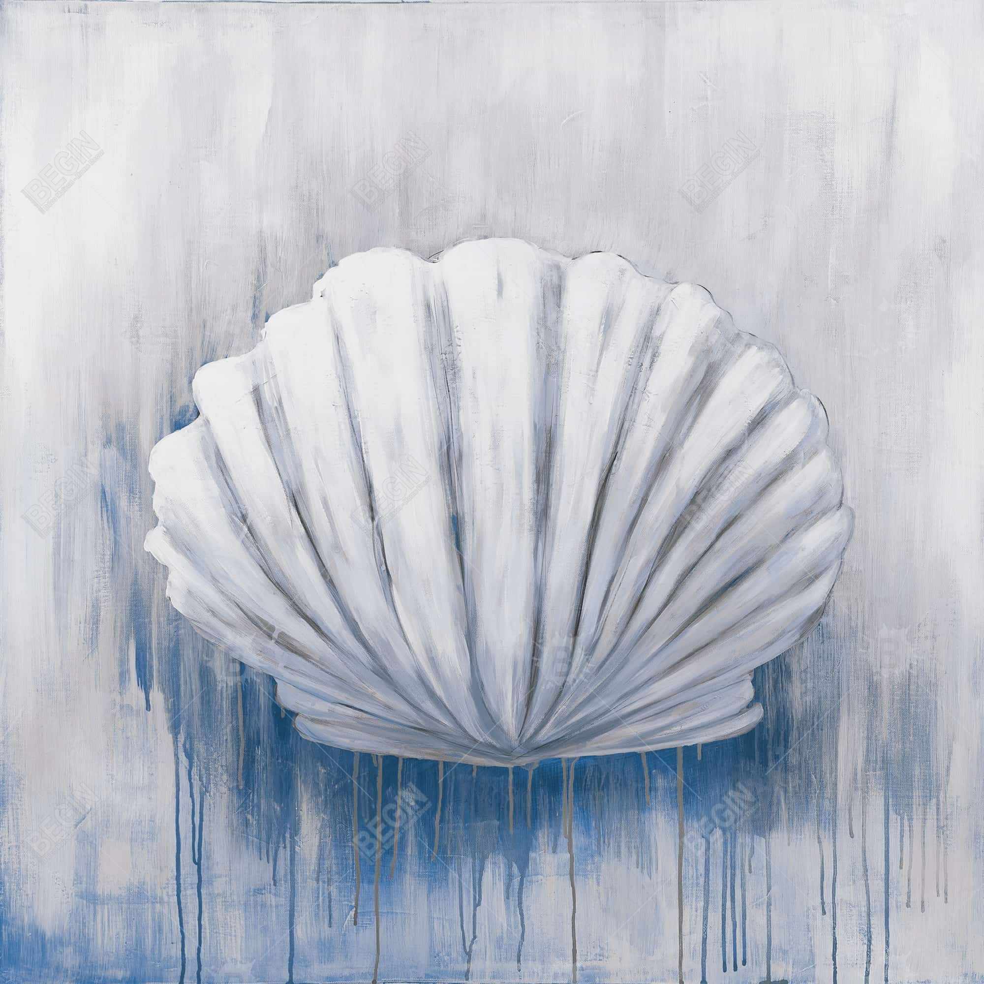 Blue feston shell