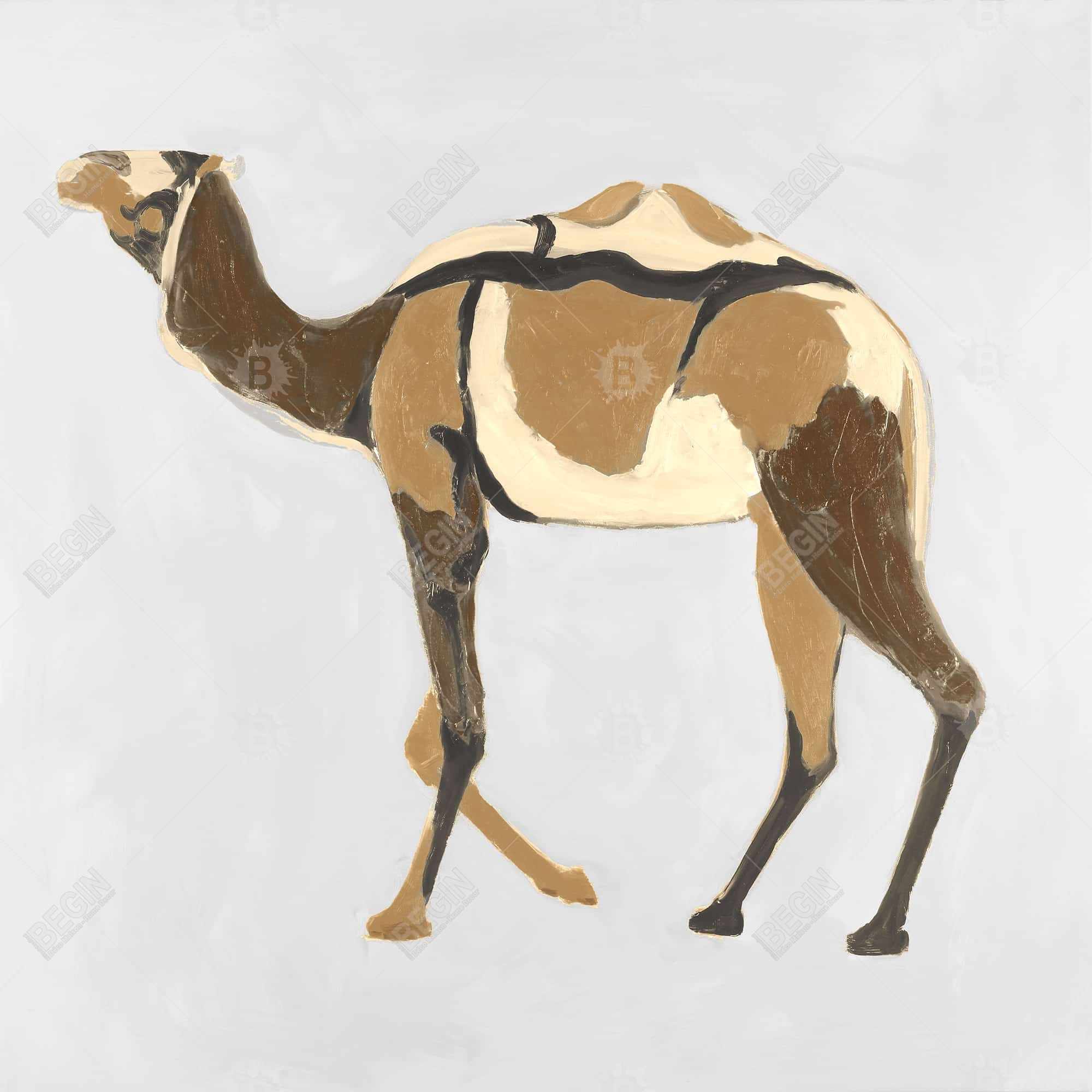 Dromadaire rétro