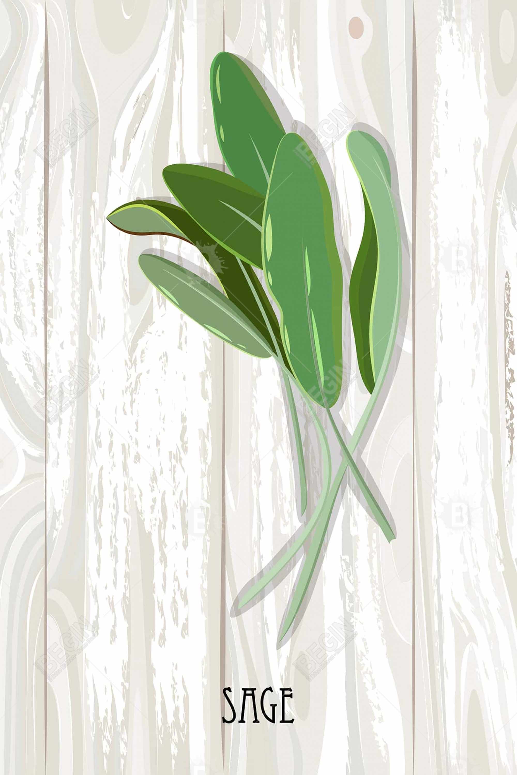 Sage on wood