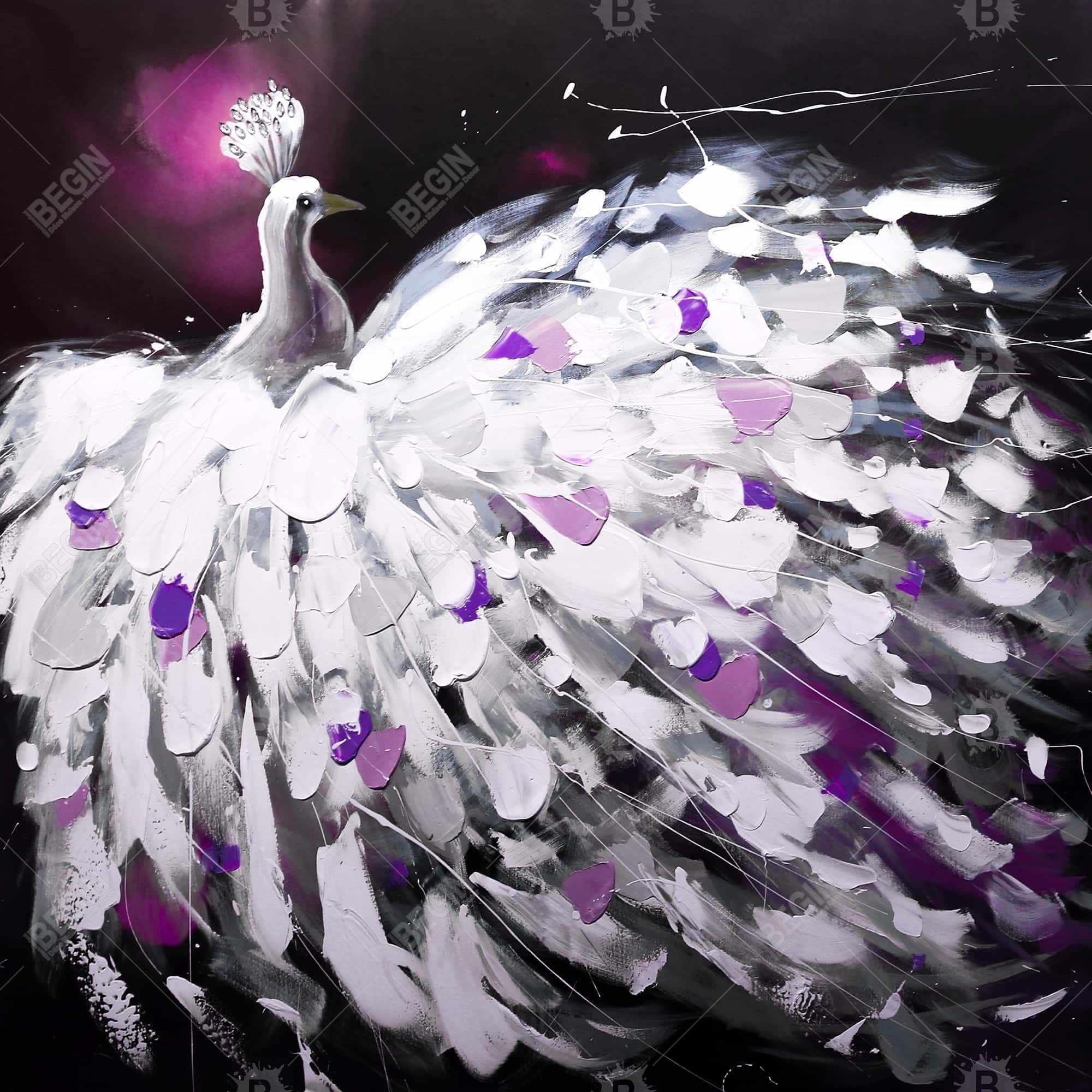 Paon violet