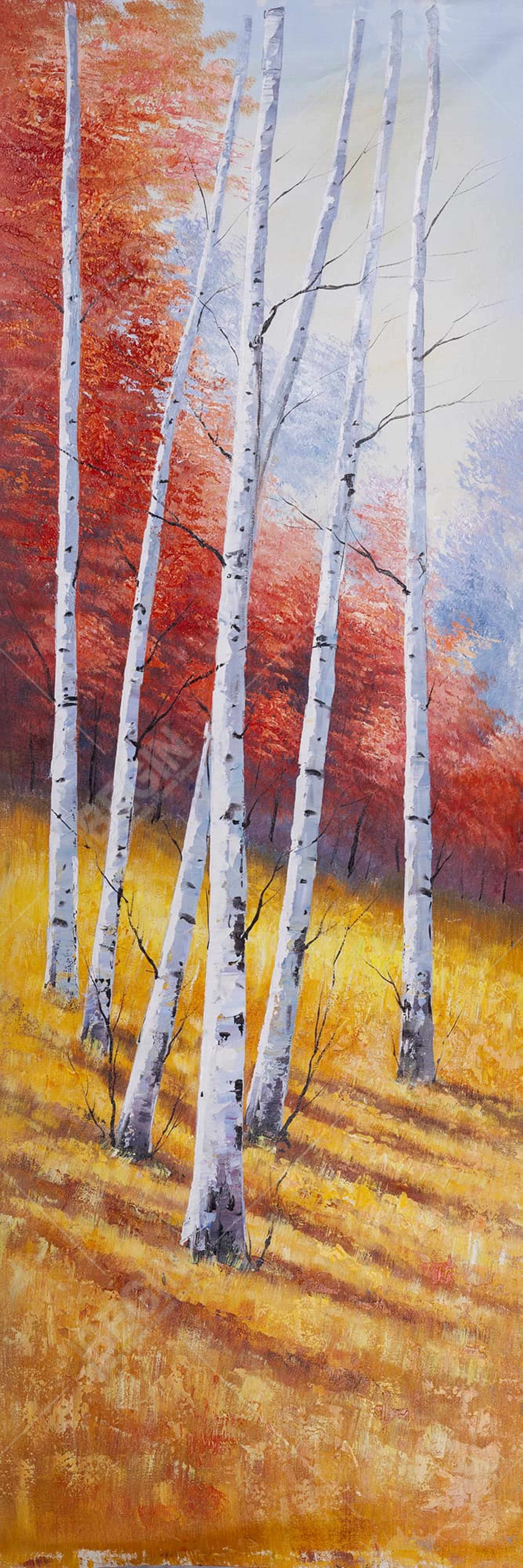 Paysage d'automne avec bouleaux