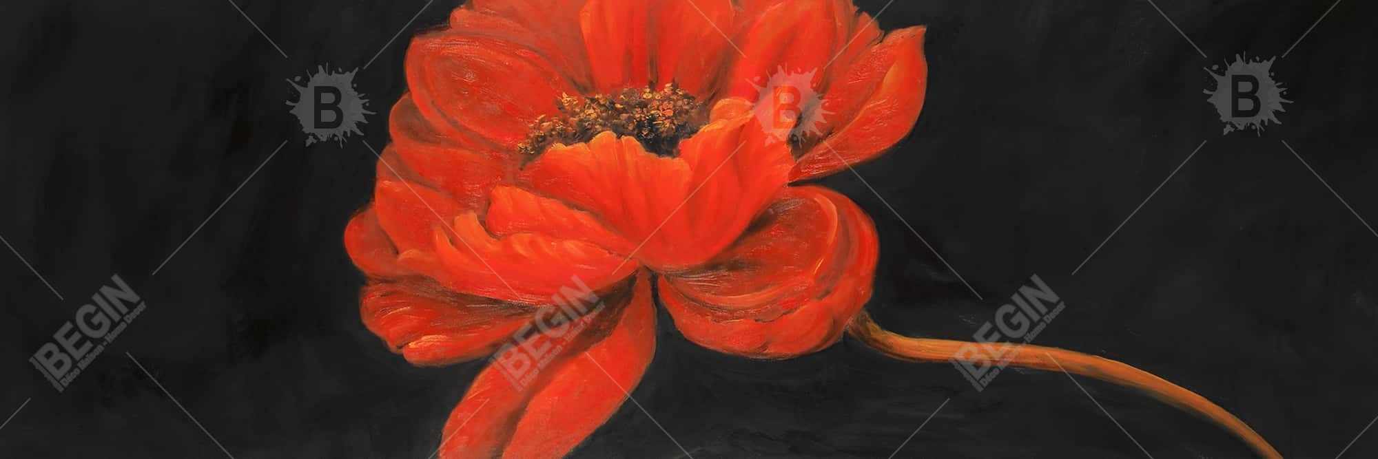 Red petal flower