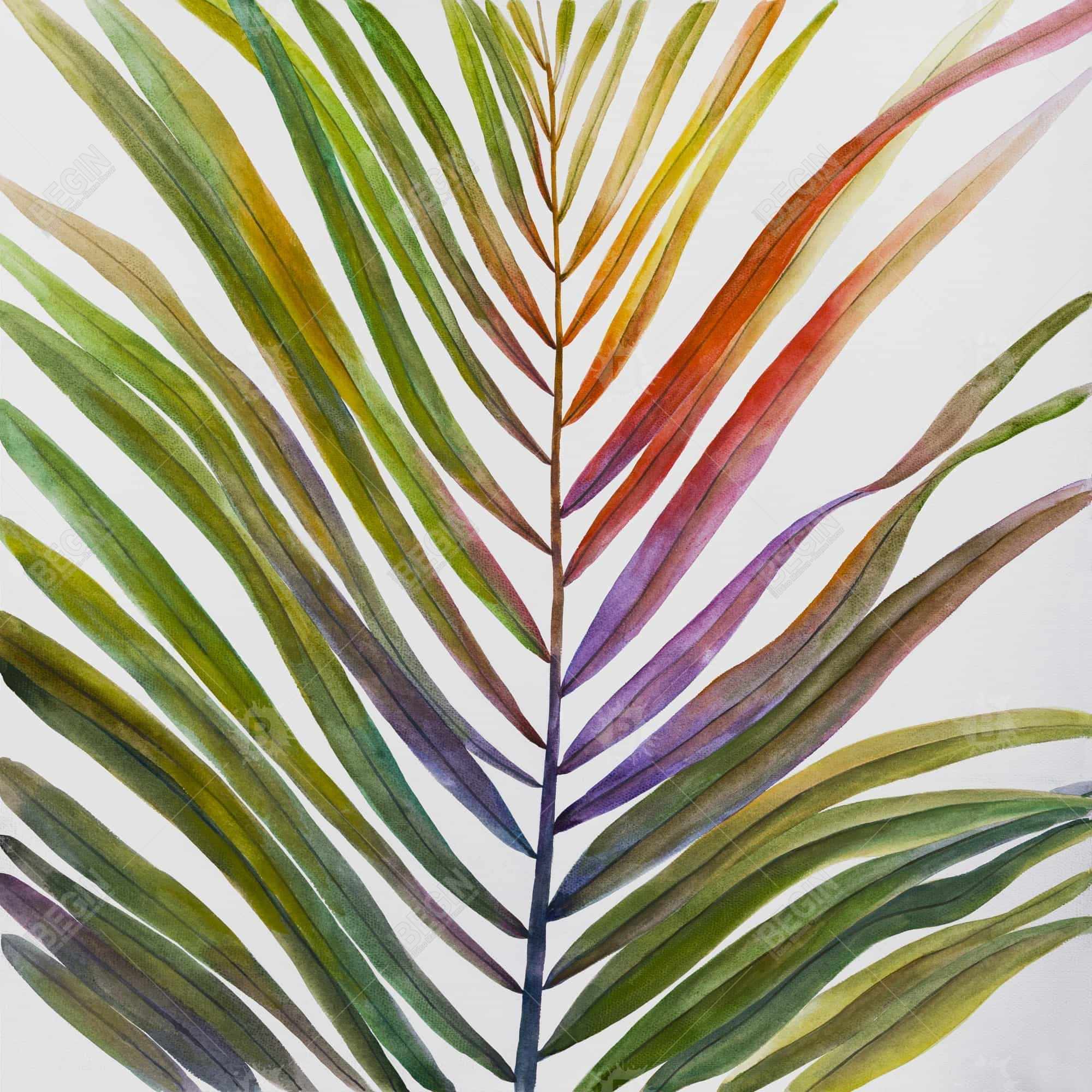 Watercolor tropical palm leave