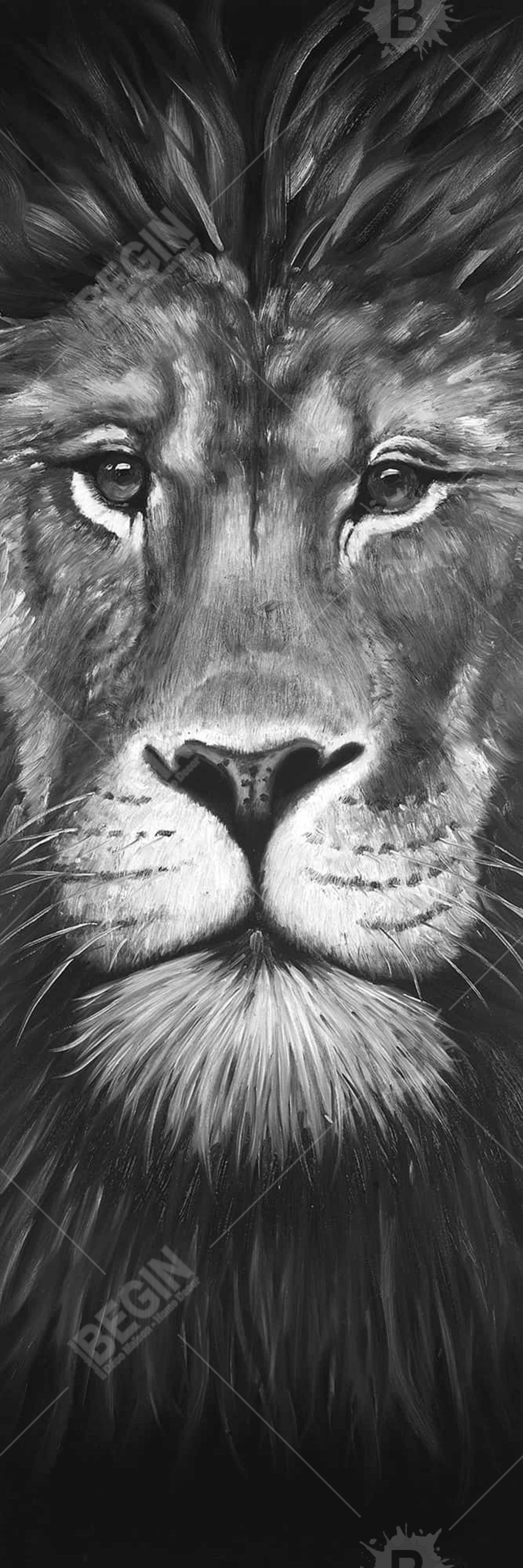 Lion portrait