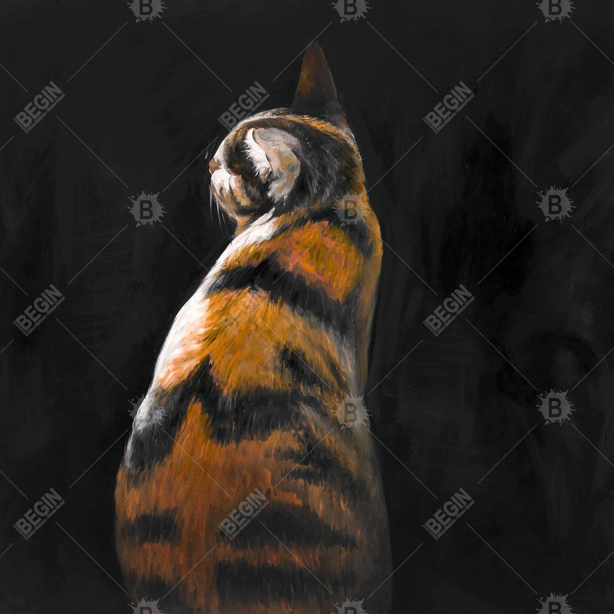 Spotted cat