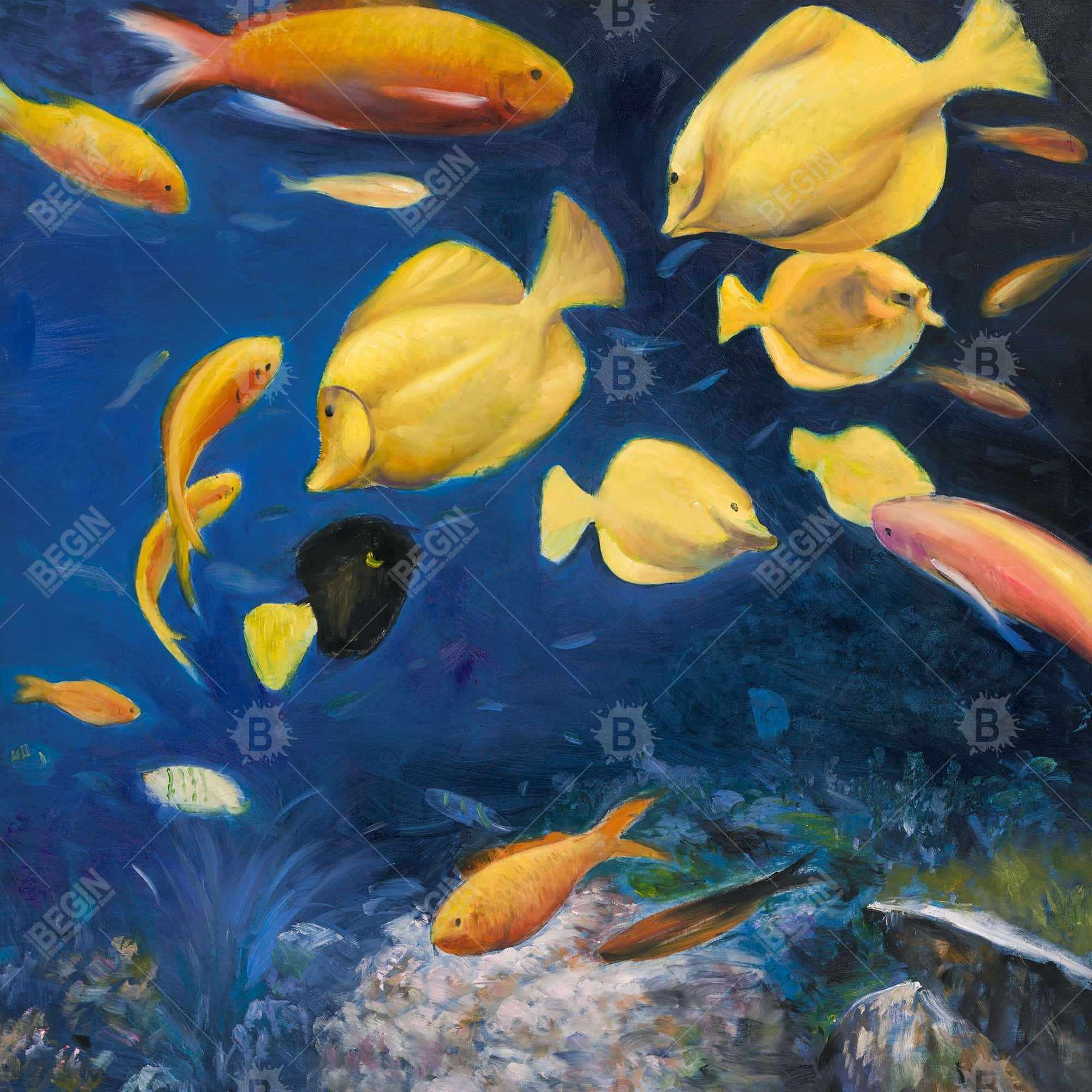 Fish under the sea
